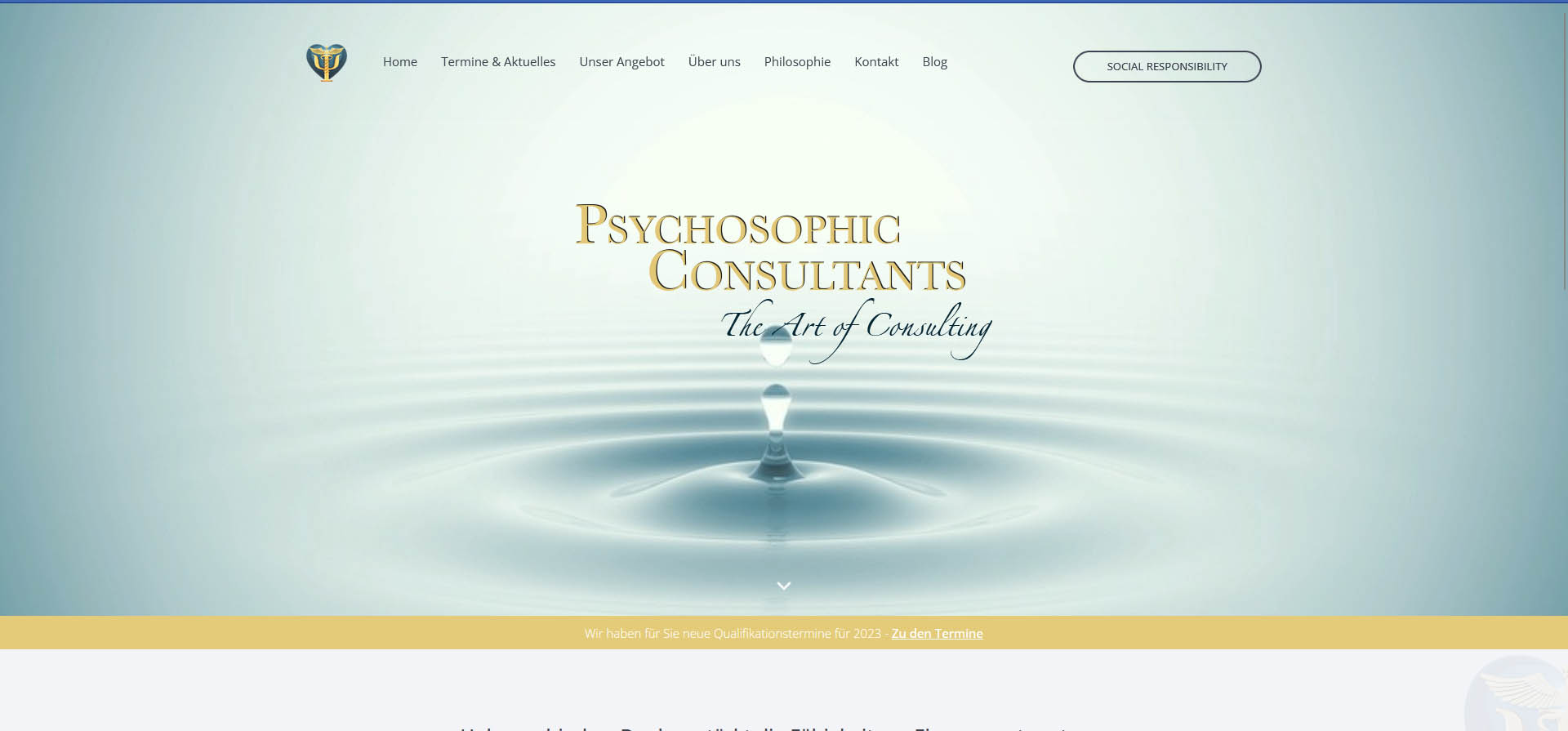 www.psychosophics.de